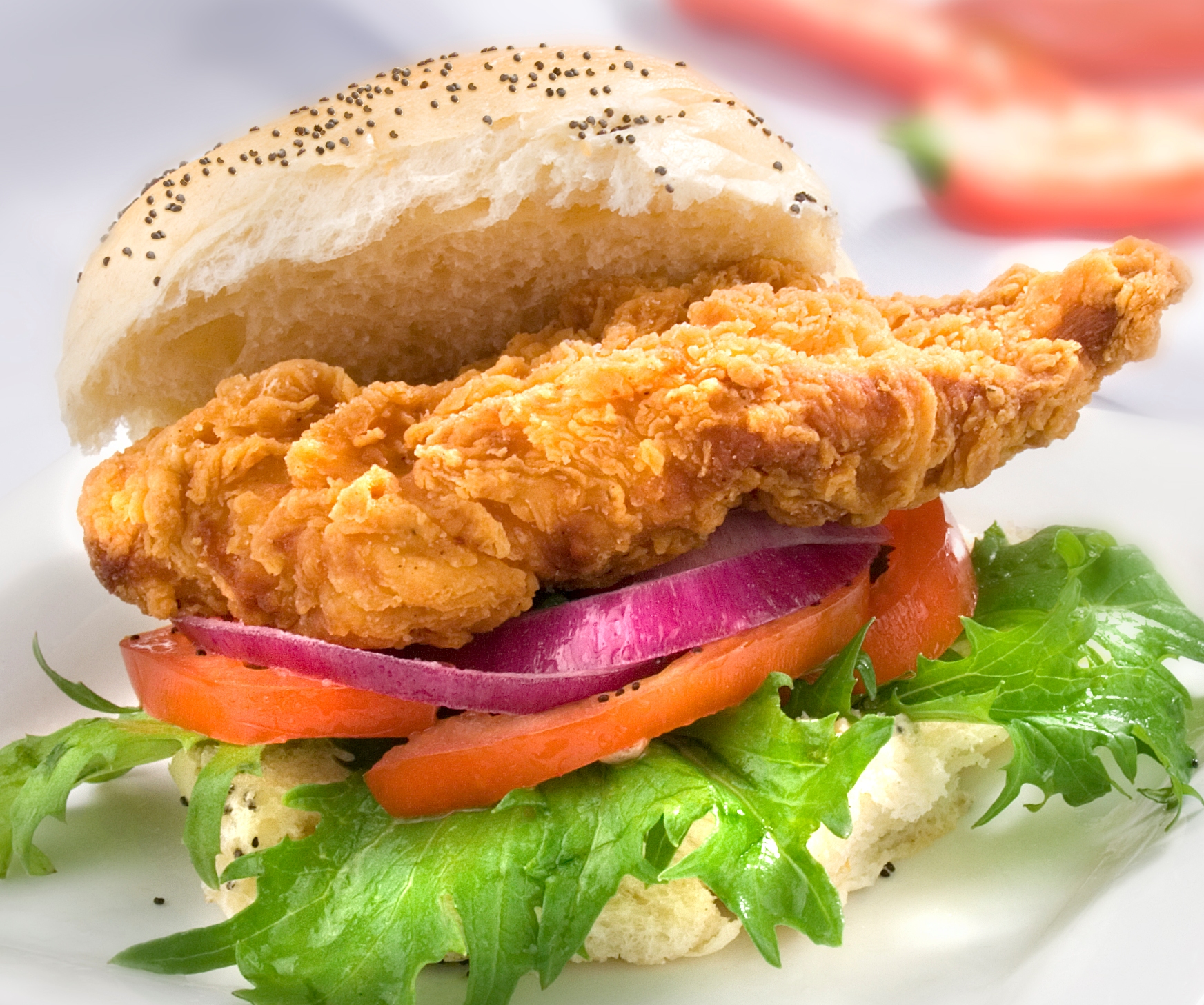 Chick008 Hot and Spicy Chicken Fillets